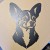 20261003_160407.jpg